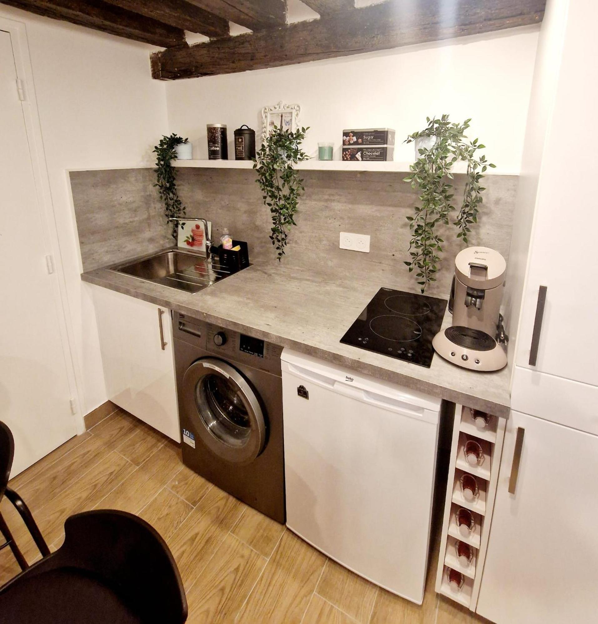 Appartement Au Coeur Du Paris. المظهر الخارجي الصورة